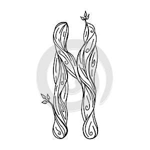 Rune Hagalaz, hagal. Wooden doodle style. A magical amulet of the destructive element. Transformation and destruction