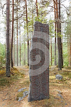 Runestone with inscriptions of futhark runes in red color in the pine woods in Sweden photo