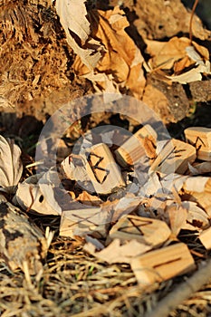 The runic alphabet with the rune of Berkan lies in the sunshine at sunset, on yellow foliage. Set for a magic ritual. Bluer effect