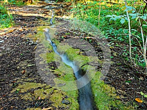 Runlet flows in forest floor of limestone region