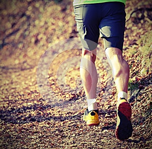 runner during the cross-country race