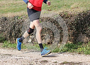 Runner during the cross-country race with knee wrapped by a knee