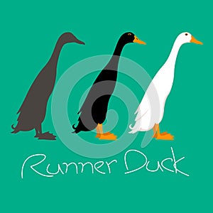 runner duck vector illustration style Flat side