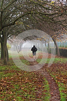 Runner Jogging in an Autumnal Park with Fog