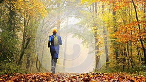 Runner in a magnificent colorful autumn forest