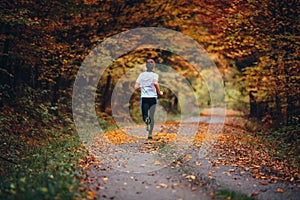 Runner trains in the picturesque autumn nature surrounded by colorful forest