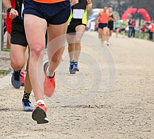 runners at cross country race