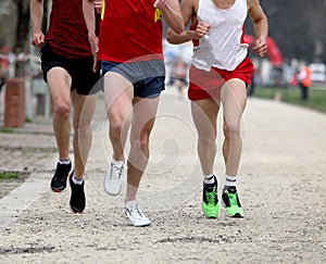 runners at finish line after the footrace