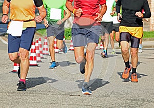 runners with muscular legs during the race