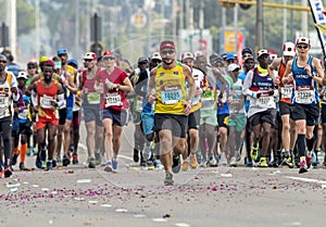 Runners Participating in the Comrades Marathon in South Africa