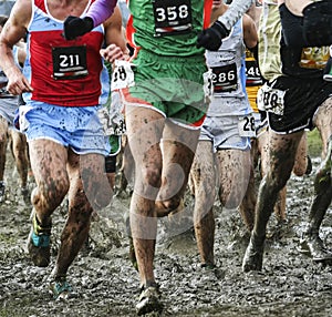 Runners racing in the mud for cross country