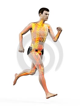 A runners skeleton