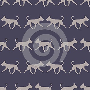 Running american pit bull terrier isolated on a blue background. Seamless pattern. Design for wallpaper, fabric, print