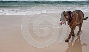 Running on the beach