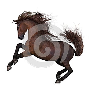 Running brown horse