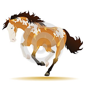 Running buckskin paint horse
