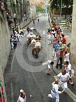 Running of the bulls in Pamplona