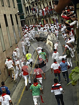 Running of the bulls in Pamplona
