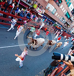 Running of the Bulls