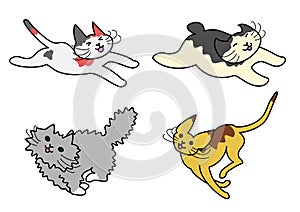 Running cats