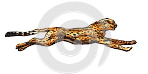 Running cheetah. Hand drawn vector illustration in sketch style. Speed concept.