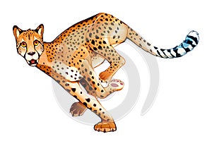 Running cheetah in horizontal pose