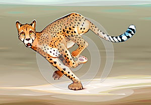 Running cheetah in the savannah