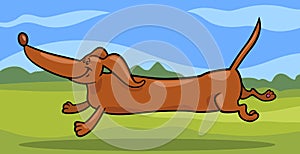 Running dachshund dog cartoon illustration