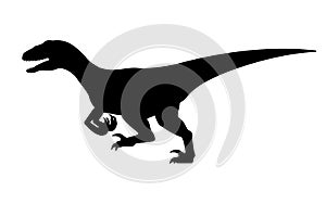 Running dinosaur velociraptor silhouette
