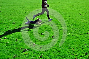 Running dog with girl