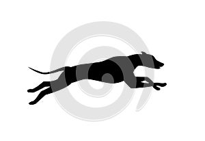 Running dog silhouette in black color