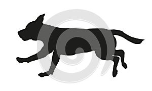 Running english beagle puppy. Black dog silhouette. Isolated on a white background