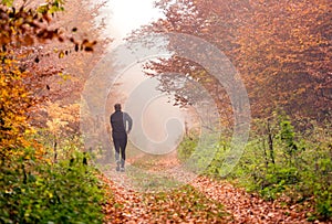 Running in foggy autumn forest