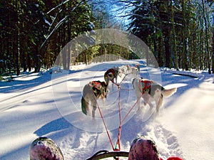 Running in fresh snow