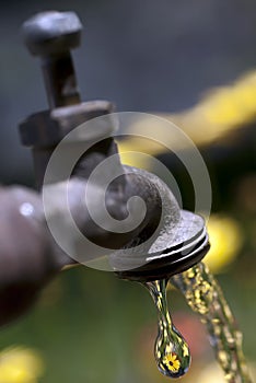 Running Garden Faucet