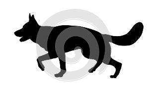 Running german shepherd dog puppy. Black dog silhouette. Pet animals. Isolated on a white background.