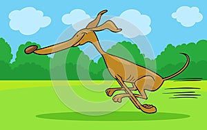 Running greyhound cartoon illustration