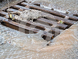 Running Gulli in heavy rain