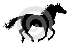 Running horse