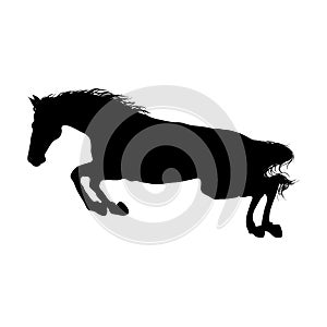 Running horse black silhouette.
