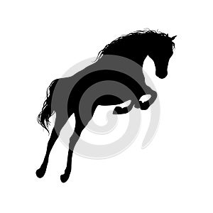 Running horse black silhouette.