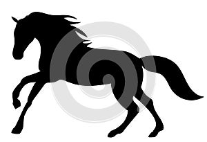 running horse black silhouette on white background
