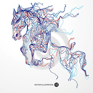 Running horse, colored lines drawing, illustration.