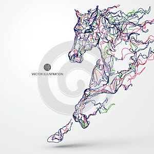 Running horse, colored lines drawing, vector illustration.