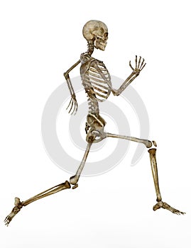 Running human skeleton