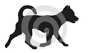 Running jack russell terrier puppy. Black dog silhouette. Pet animals. Isolated on a white background