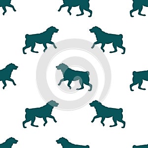 Running, jumping central asian shepherd dog. Isolated on white background. Seamless pattern. Dog silhouette. Design for