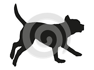 Running and jumping labrador retriever puppy. Black dog silhouette. Pet animals. Isolated on a white background.