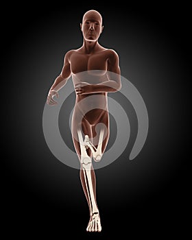 Running male medical skeleton