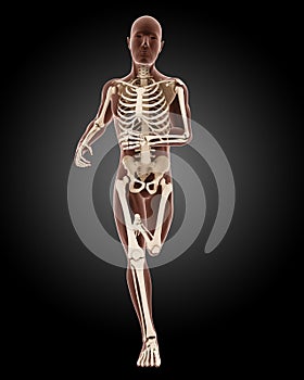 Running male medical skeleton